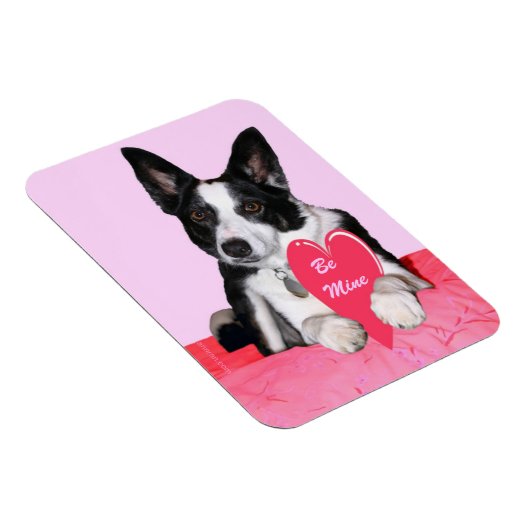 Valentijn Magnet - "Magpie" Magneet (Rechterzijde)