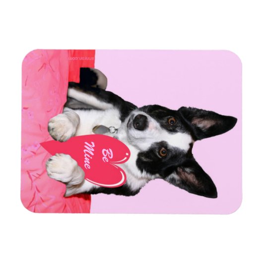 Valentijn Magnet - "Magpie" Magneet (Horizontaal)