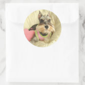 Valentijn Miniatuur Schnauzer Ronde Sticker (Tas)