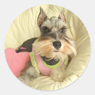 Valentijn Miniatuur Schnauzer Ronde Sticker