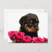 Valentijn nam Puppy Rottweiler toe Feestdagenkaart (Voorkant / Achterkant)