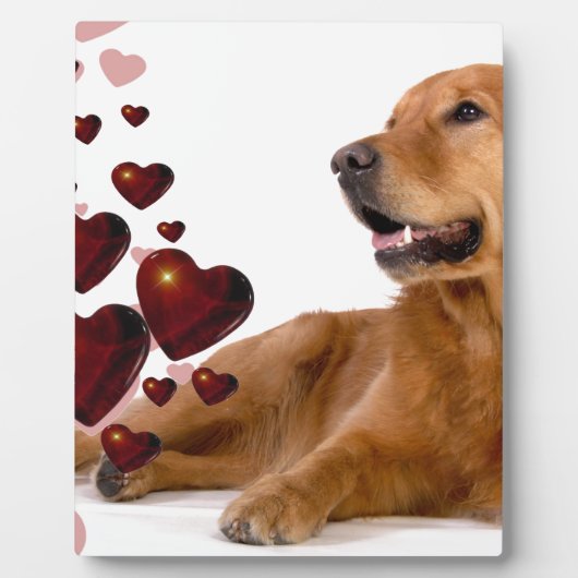 Valentijn Red Hearts Golden Retriever Dog Fotoplaat (Voorkant)