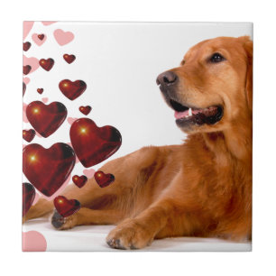 Valentijn Red Hearts Golden Retriever Dog Tegeltje