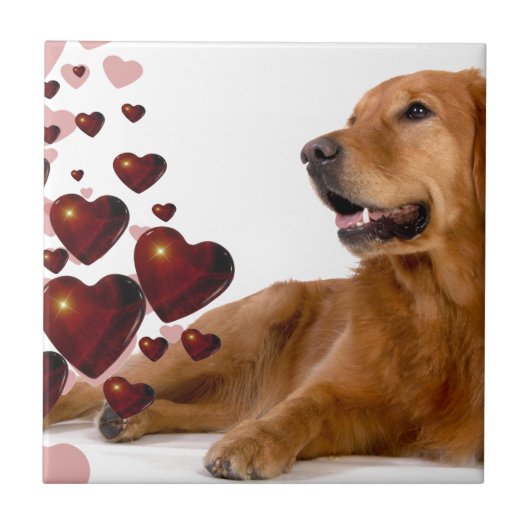 Valentijn Red Hearts Golden Retriever Dog Tegeltje (Voorkant)