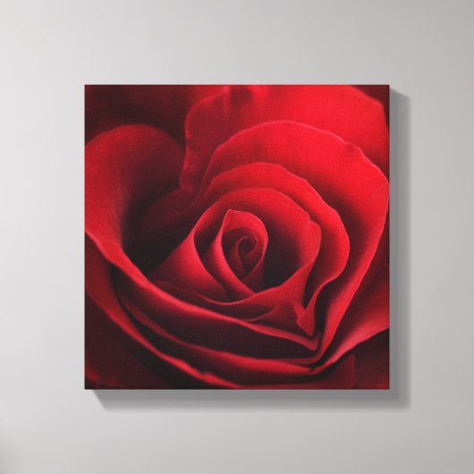 Valentijn Red Rose Canvas Afdruk (Voorkant)