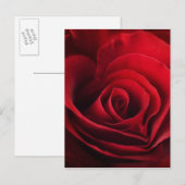 Valentijn Red Rose Feestdagenkaart (Voorkant / Achterkant)