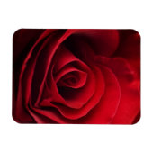 Valentijn Red Rose Magneet (Horizontaal)