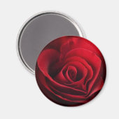 Valentijn Red Rose Magneet (Voorkant / Achterkant)