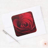 Valentijn Red Rose Vierkante Sticker (Envelop)