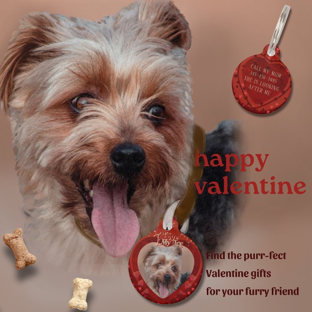 Valentijn rode foto Sleutelhanger Huisdierpenning (Valentine Red Photo Keychain Pet ID Tag)