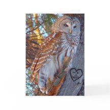 Valentijn, Romance, Funny, Humor Owl —ME + WHO