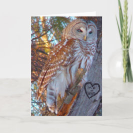 Valentijn, Romance, Funny, Humor Owl —ME + WHO Feestdagen Kaart