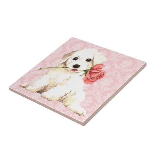 Valentijn Roos Bichon Tegeltje (Zijkant)