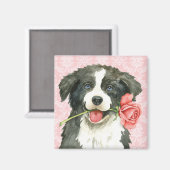 Valentijn Roos Border Collie Magneet (Voorkant / Achterkant)