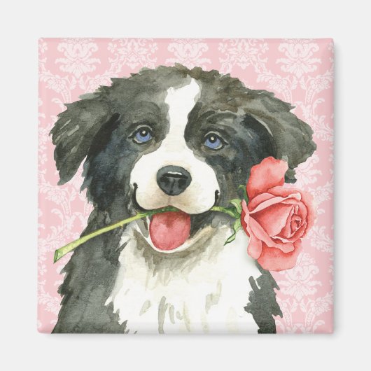 Valentijn Roos Border Collie Magneet (Voorkant)