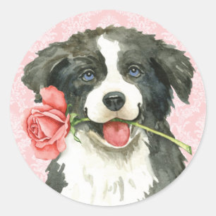 Valentijn Roos Border Collie Ronde Sticker