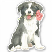 Valentijn Roos Border Collie Vinyl Sticker (Voorkant)