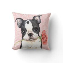 Valentijn Roos Boston Terrier