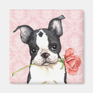 Valentijn Roos Boston Terrier Magneet