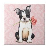 Valentijn Roos Boston Terrier Tegeltje (Voorkant)