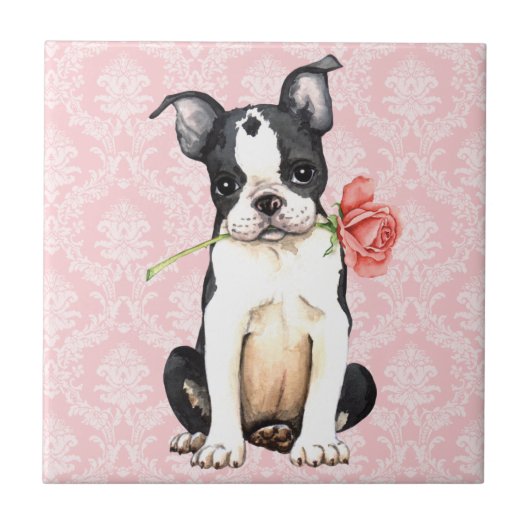 Valentijn Roos Boston Terrier Tegeltje (Voorkant)