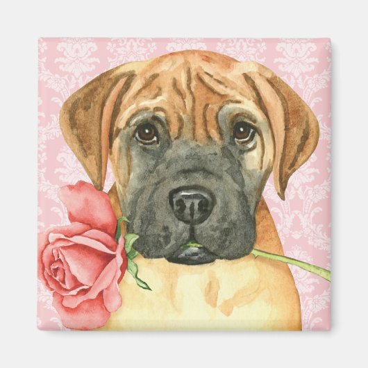 Valentijn Roos Bullmastiff Magnet (Voorkant)