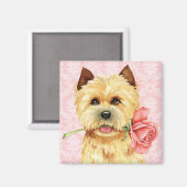 Valentijn Roos Cairn Terrier Magnet (Voorkant / Achterkant)