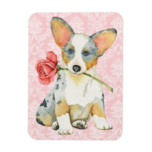 Valentijn Roos Cardigan Welsh Corgi Magneet