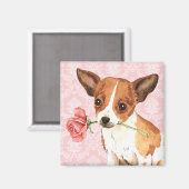 Valentijn Roos Chihuahua Magneet (Voorkant / Achterkant)