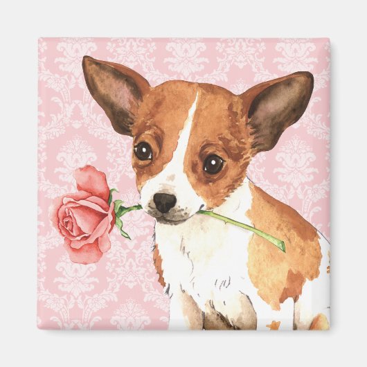 Valentijn Roos Chihuahua Magneet (Voorkant)