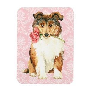 Valentijn Roos Collie Magneet