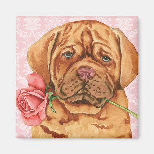 Valentijn Roos Dogue de Bordeaux Magneet