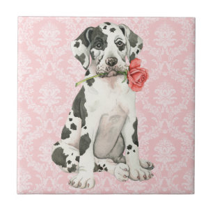 Valentijn Roos Great Dane Tegeltje