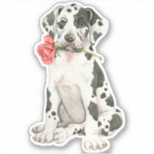 Valentijn Roos Grote Deen Vinyl Sticker (Voorkant)