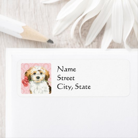 Valentijn Roos Havanese Etiket (Insitu)