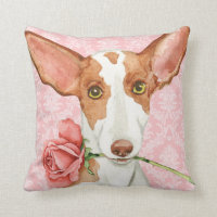 Valentijn Roos Ibizan Hound