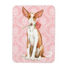 Valentijn Roos Ibizan Hound