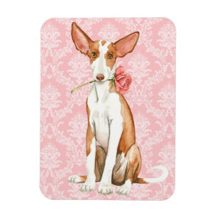 Valentijn Roos Ibizan Hound Magneet