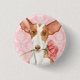 Valentijn Roos Ibizan Hound Ronde Button 3,2 Cm