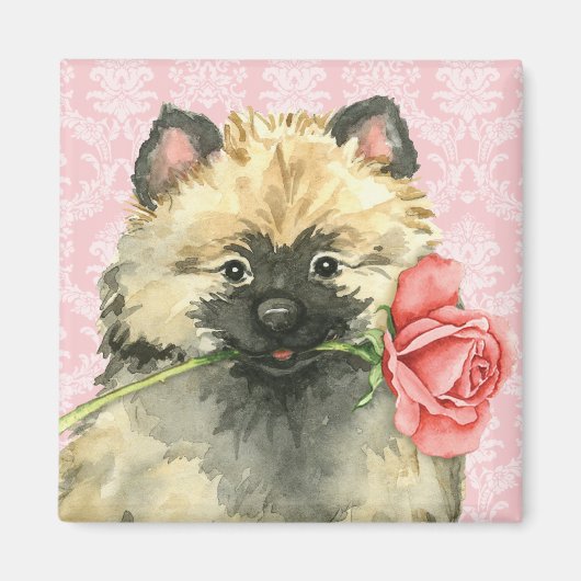 Valentijn Roos Keeshond Magneet (Voorkant)