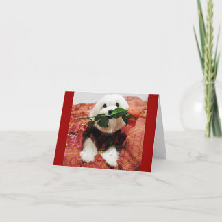 Valentijn Roos (leeg binnenin) Feestdagen Kaart