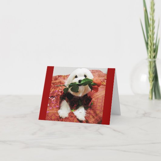 Valentijn Roos (leeg binnenin) Feestdagen Kaart (Voorkant)