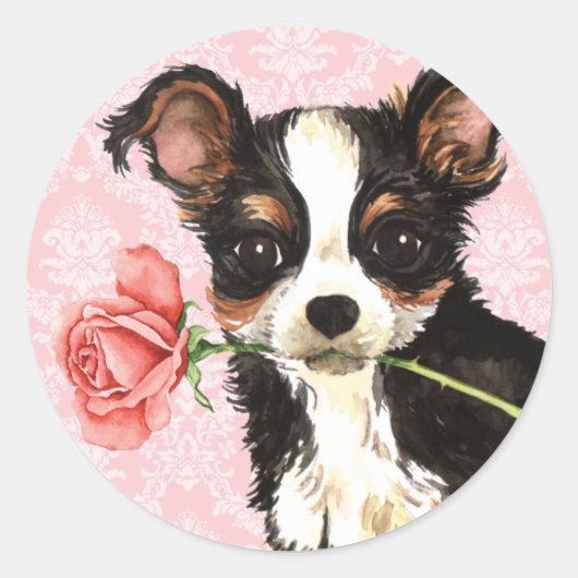 Valentijn Roos Long Coat Chihuahua Ronde Sticker (Voorkant)