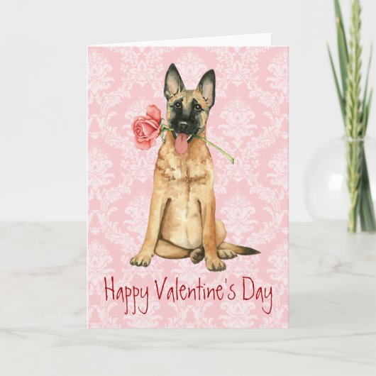 Valentijn Roos Malinois Feestdagen Kaart (Voorkant)