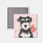 Valentijn Roos Mini Schnauzer Magneet (Voorkant / Achterkant)