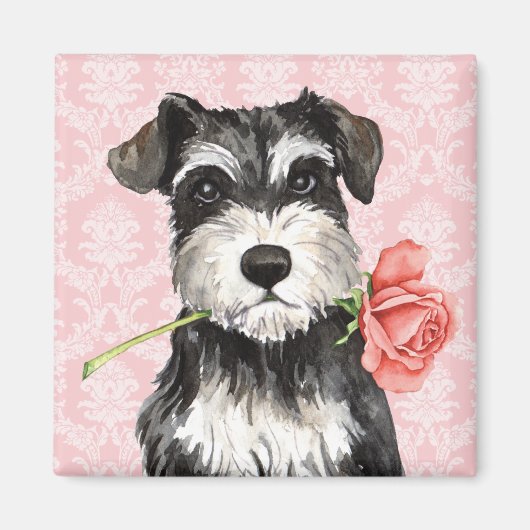 Valentijn Roos Mini Schnauzer Magneet (Voorkant)