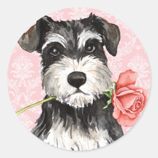 Valentijn Roos Mini Schnauzer Ronde Sticker (Voorkant)