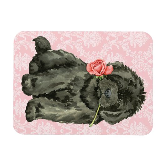 Valentijn Roos Newfoundland Magneet (Horizontaal)