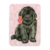 Valentijn Roos Newfoundland Magneet (Verticaal)