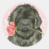 Valentijn Roos Newfoundland Ronde Sticker (Voorkant)